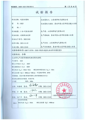 GGJ型式试验报告2